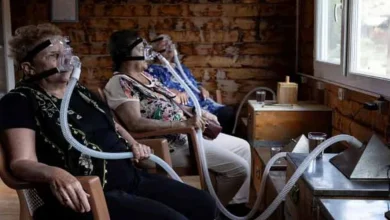 apitherapy benefits, beehive air therapy, Turkiye alternative medicine