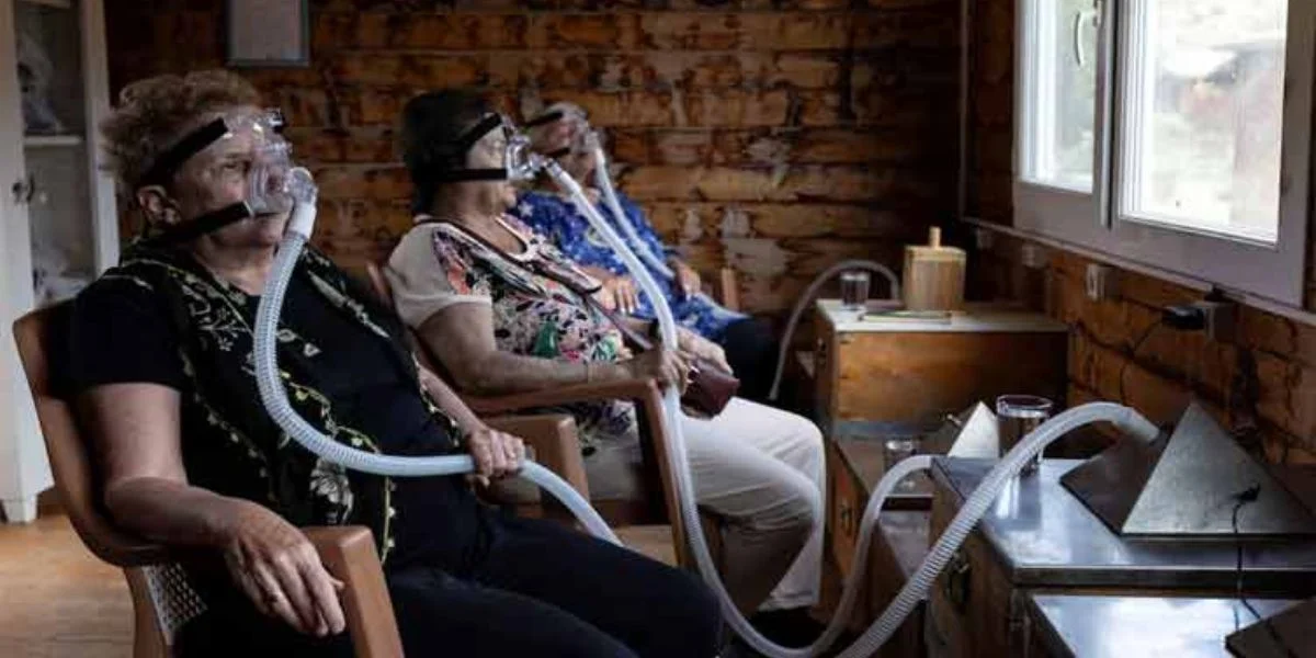 apitherapy benefits, beehive air therapy, Turkiye alternative medicine