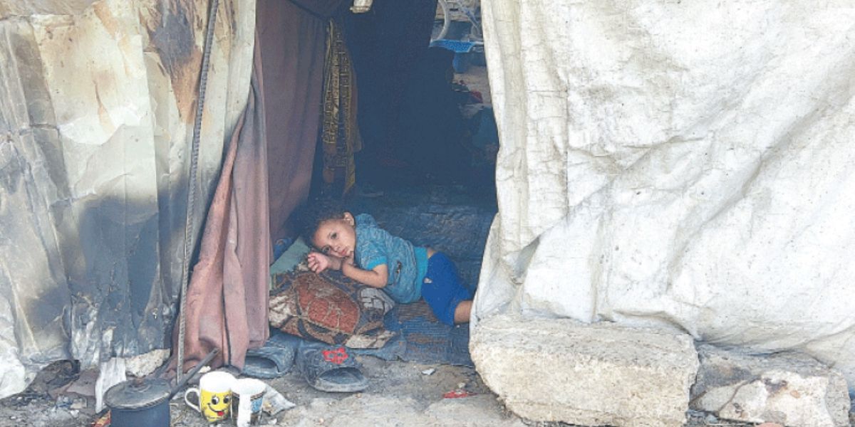 Gaza, Palestine, WHO, Israel, ceasefire, humanitarian, deaths