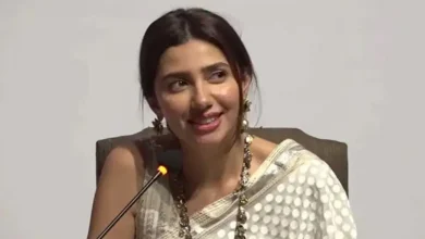 Mahira Khan, cancel culture, boycotts, Bollywood, Pakistan entertainment industry, Love Guru, geopolitical tensions, public reaction.