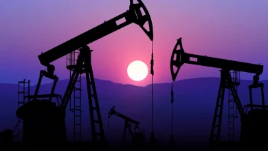 oil, petroleum, exports,