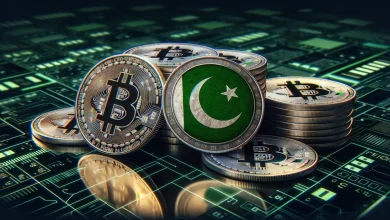 Pakistan Digital Assets Authority Commissioned