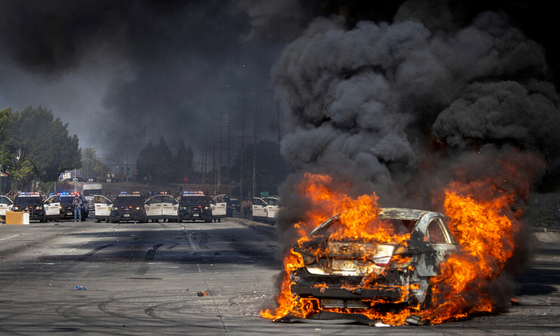NationalGuard, Immigration, Protests