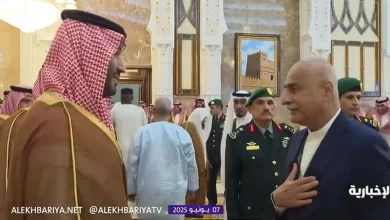 Alliance, Support, Diplomacy