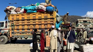 Migration, Deportation, Refugees