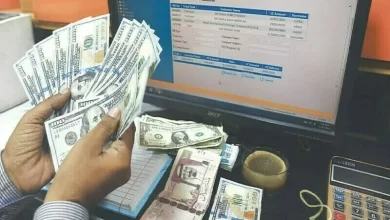 Investment, Treasury, Economy