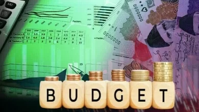 Budget2025, GreenFinance, EconomicReform