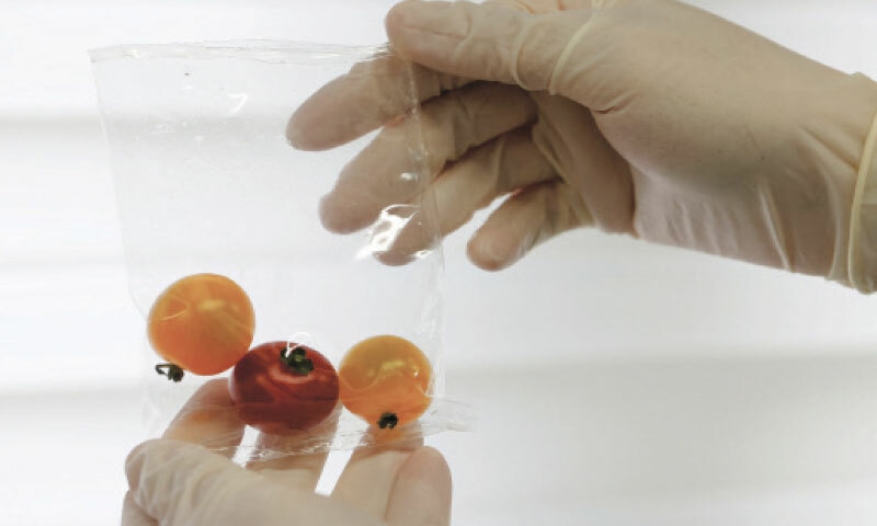 Plastic, Ocean, Pollution