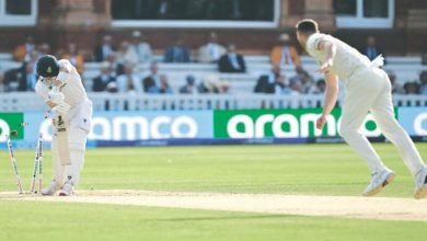 Cricket, Starc, WTCFinal