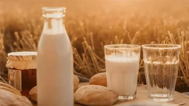 Dairy, Economy, Nutrition