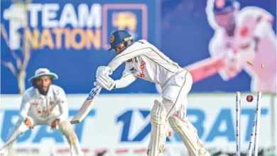 Cricket, TestMatch, Performance