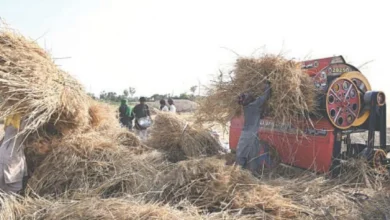 precision agriculture, climate resilience, Pakistan agriculture
