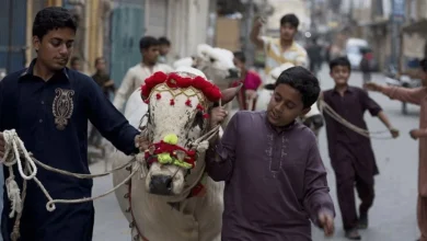 Eidul Azha holidays, public holiday Pakistan, moon sighting committee