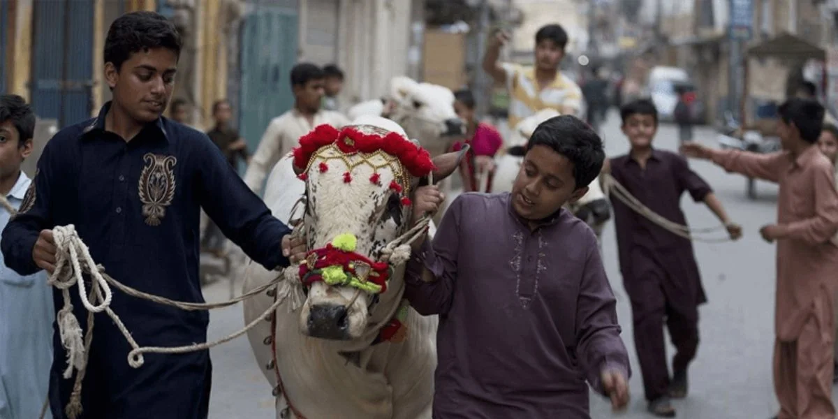 Eidul Azha holidays, public holiday Pakistan, moon sighting committee