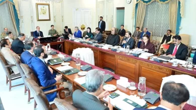 Pakistan budget 2025, NEC development plan, economic growth targets