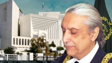 Judiciary, Constitution, Review