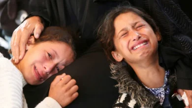 Gaza aid crisis, UN investigation, humanitarian violations