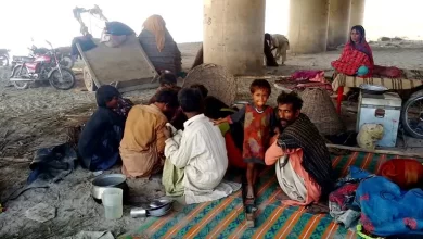 Budget, Welfare, SocialJustice