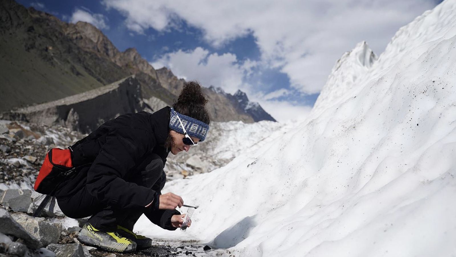 Conservation, Innovation, Diplomacy