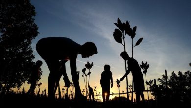 Climate, Resilience, Adaptation