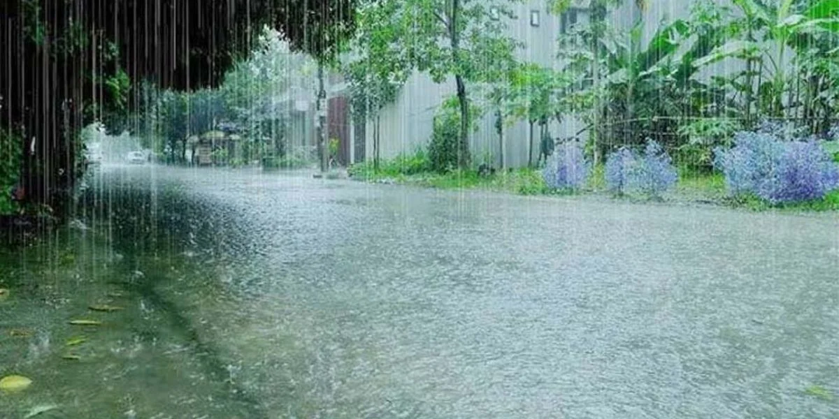 Rainfall, Floods, WeatherAlert