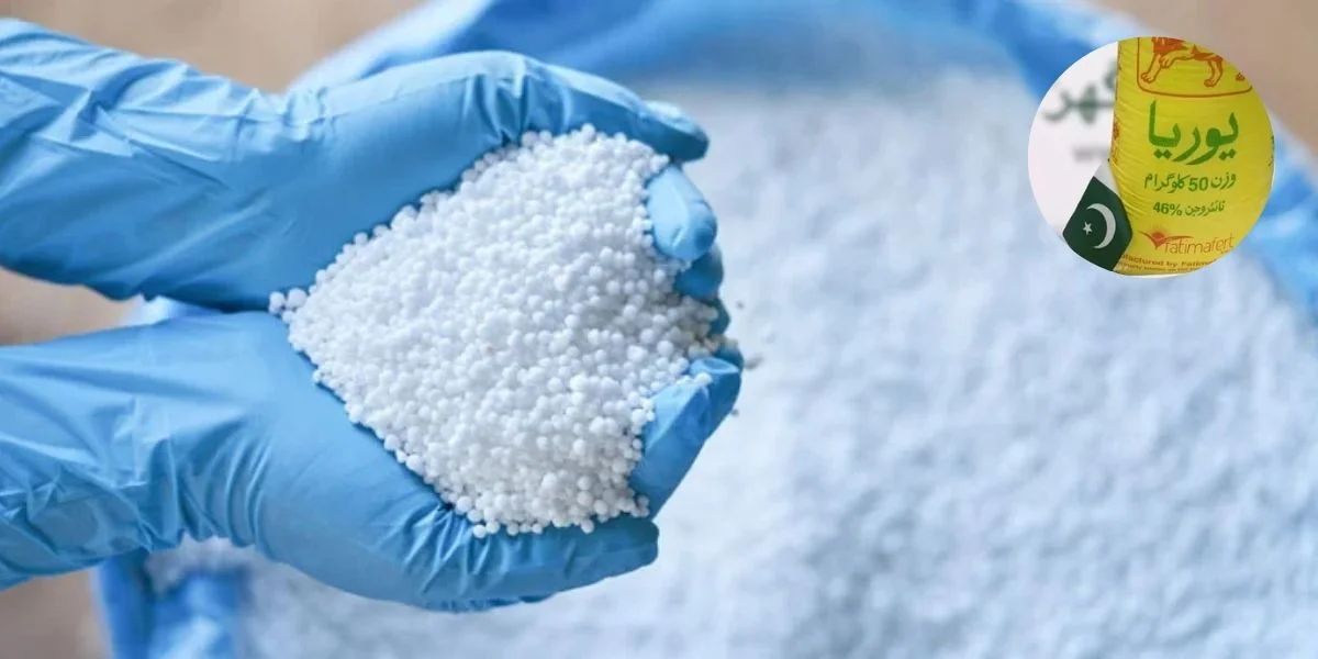 fertiliser price-fixing, CCP fines, anti-competitive conduct