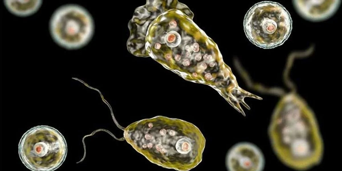 brain-eating amoeba, Naegleria fowleri, Karachi death