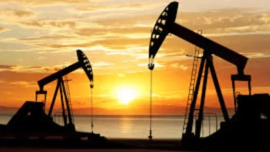 OilPrices, EconomicImpact, InflationRisk