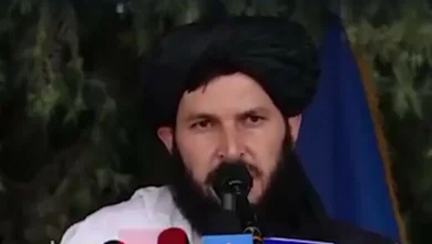 افغان طالبان، فتنہ الخوارج، امیر کا حکم،