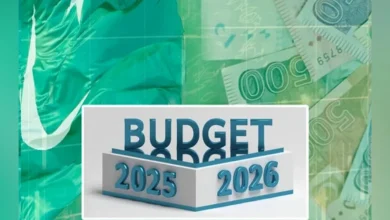 وفاقی بجٹ, ٹیکس کمی, تنخواہ دار طبقہ