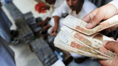 کیش لیس، حکومت پاکستان، معیشتی منصوبہ،