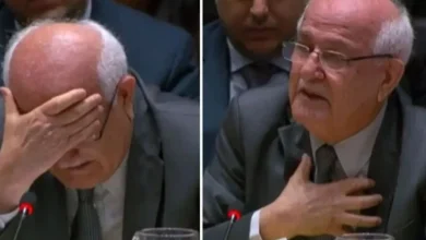 فلسطین، غزہ، اقوام متحدہ،