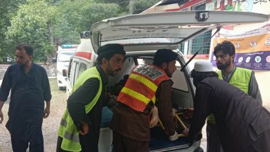 ناران, گلیشیئر حادثہ, سیاحتی سانحہ