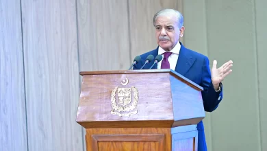 بجلیاصلاحات، ریلیف، پیٹیویفیسخاتمہ